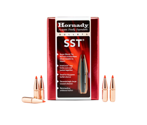 SST Bullets 