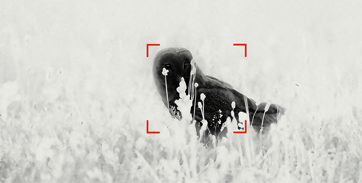 zeiss-dti-nature-hot-tracking__1_